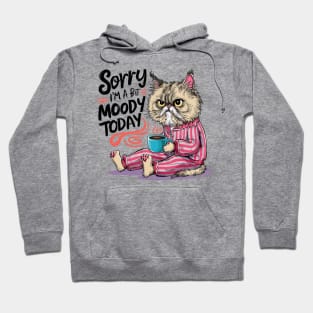 Sorry I'm A Bit Moody Today Hoodie